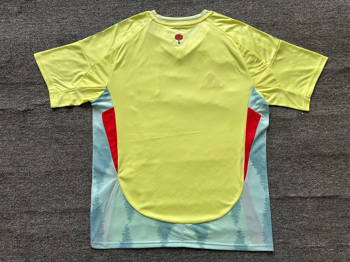 Maillot Espagne 2024-2025