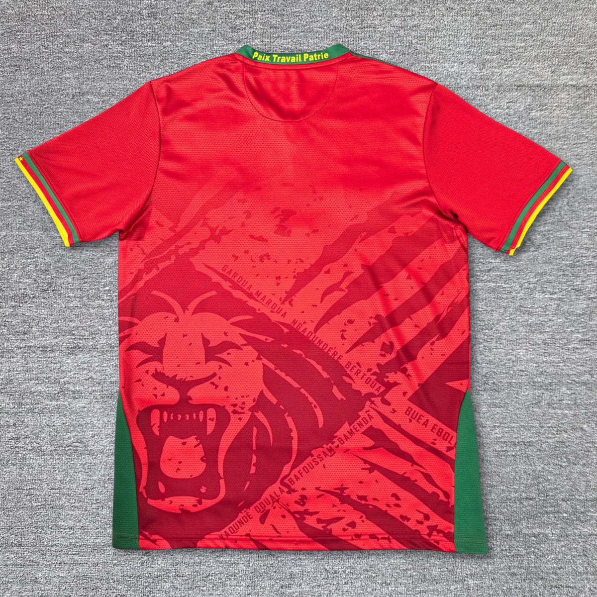 Maillot Cameroun 2025-2026