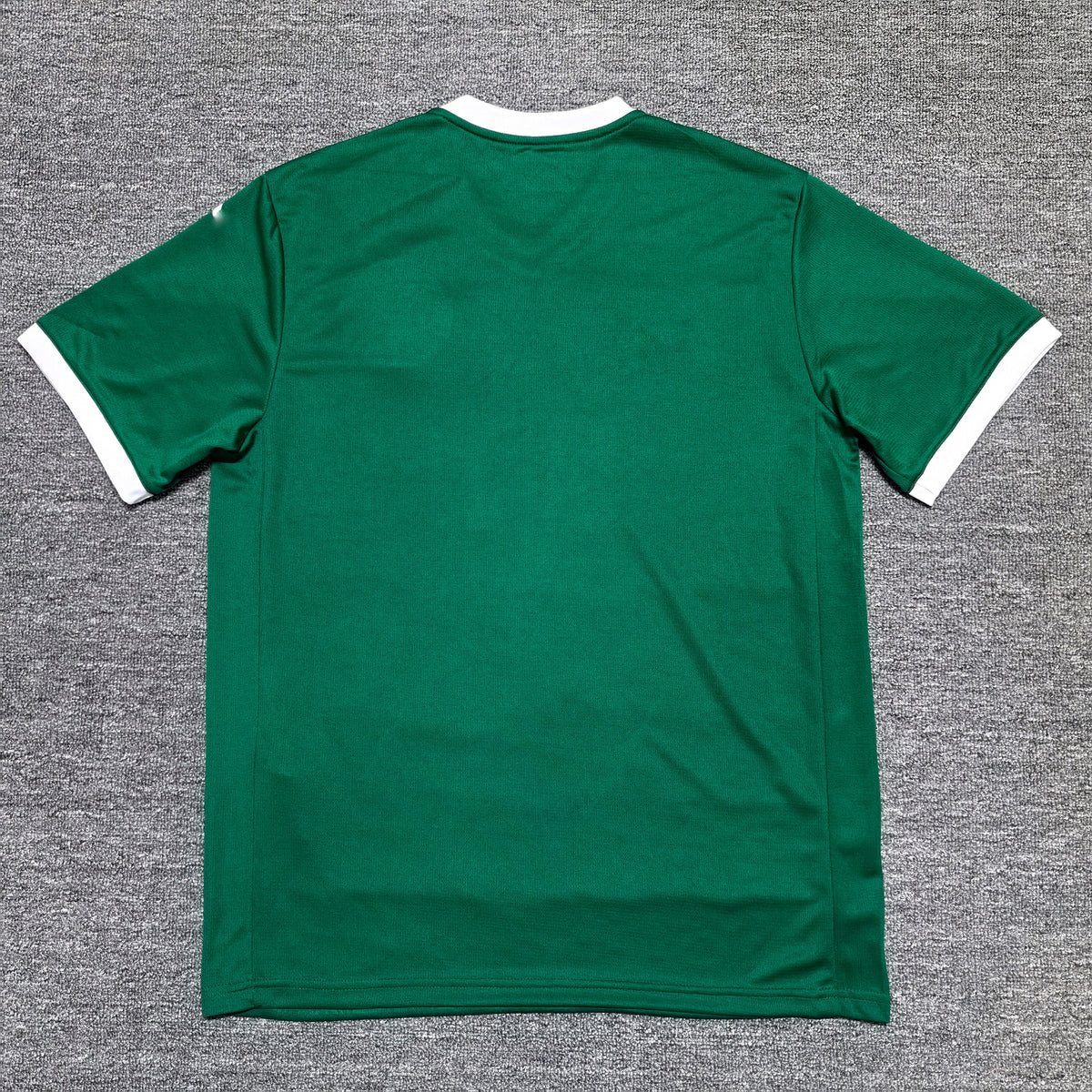Maillot Palmeiras 2025-2026