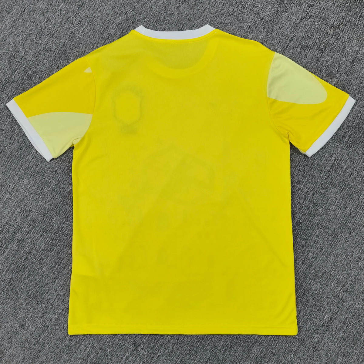 Maillot Brésil Concept 2024-2025