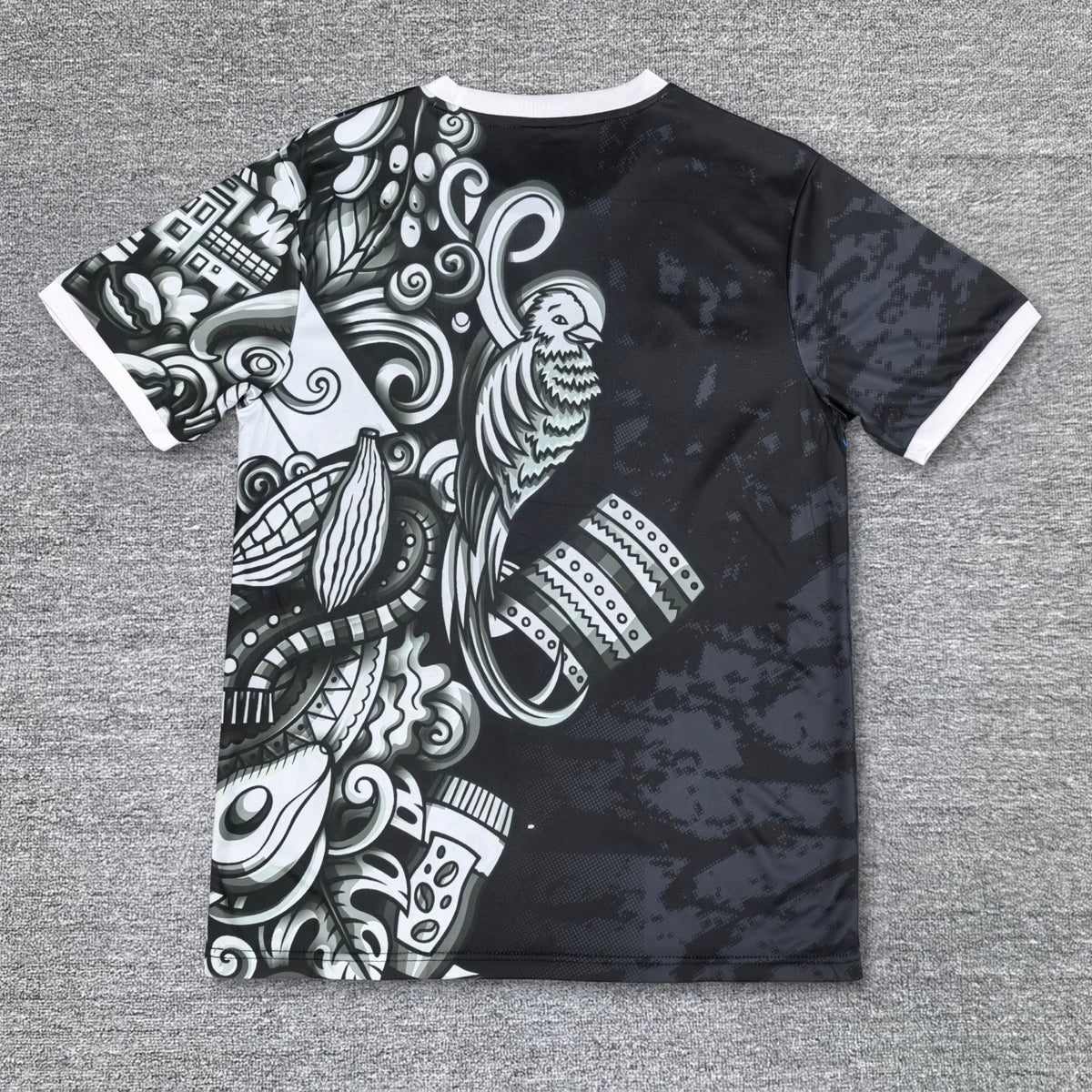 Maillot Japon Concept 2025-2026
