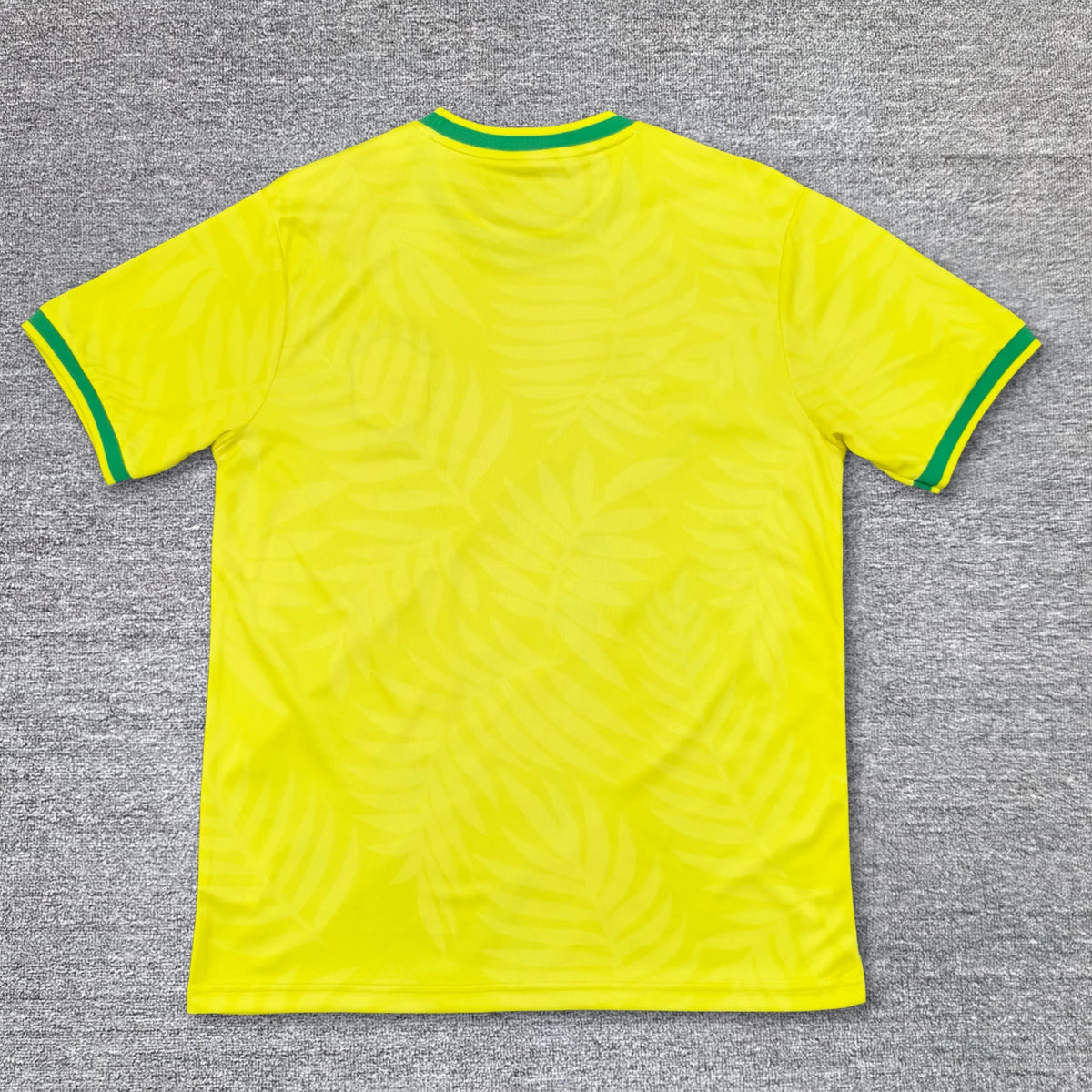 Maillot Brésil Concept 2024-2025