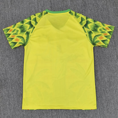 Maillot Brésil Concept 2025-2026