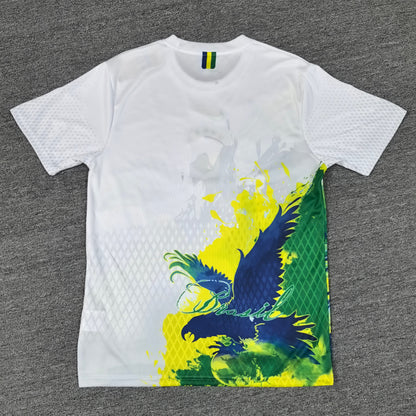 Maillot Brésil Concept 2025-2026