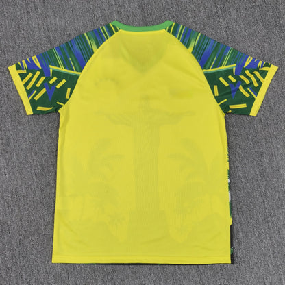 Maillot Brésil Concept 2025-2026
