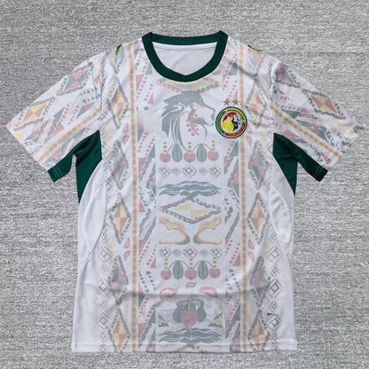 Maillot Sénégal Champions Extérieur 2026-2027
