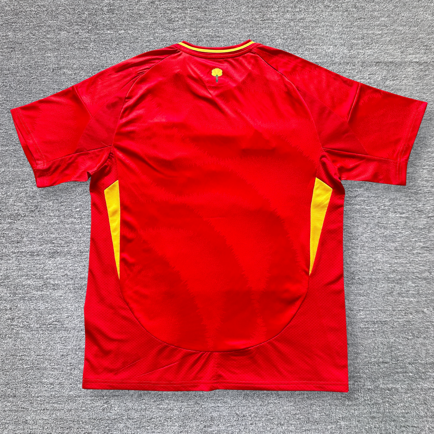 Maillot Espagne 2024