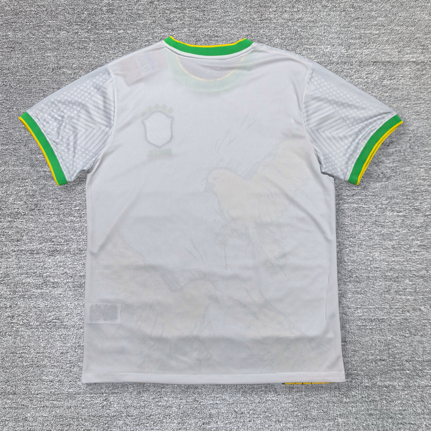 Maillot Brésil Concept 2023-2024