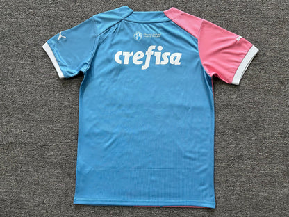 Maillot Palmeiras 2023-2024