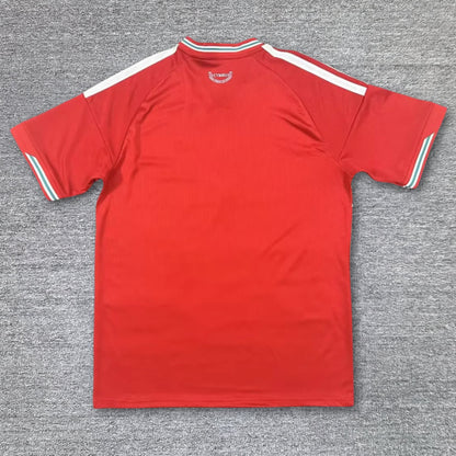 Maillot Pays De Galles Domicile 2026-2027