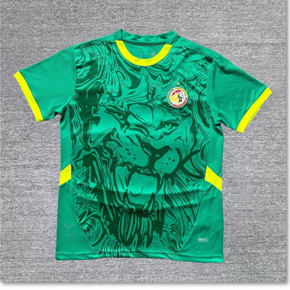 Maillot Sénégal 2024-2025