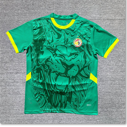 Maillot Sénégal 2024-2025