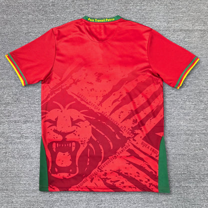 Maillot Cameroun 2025-2026