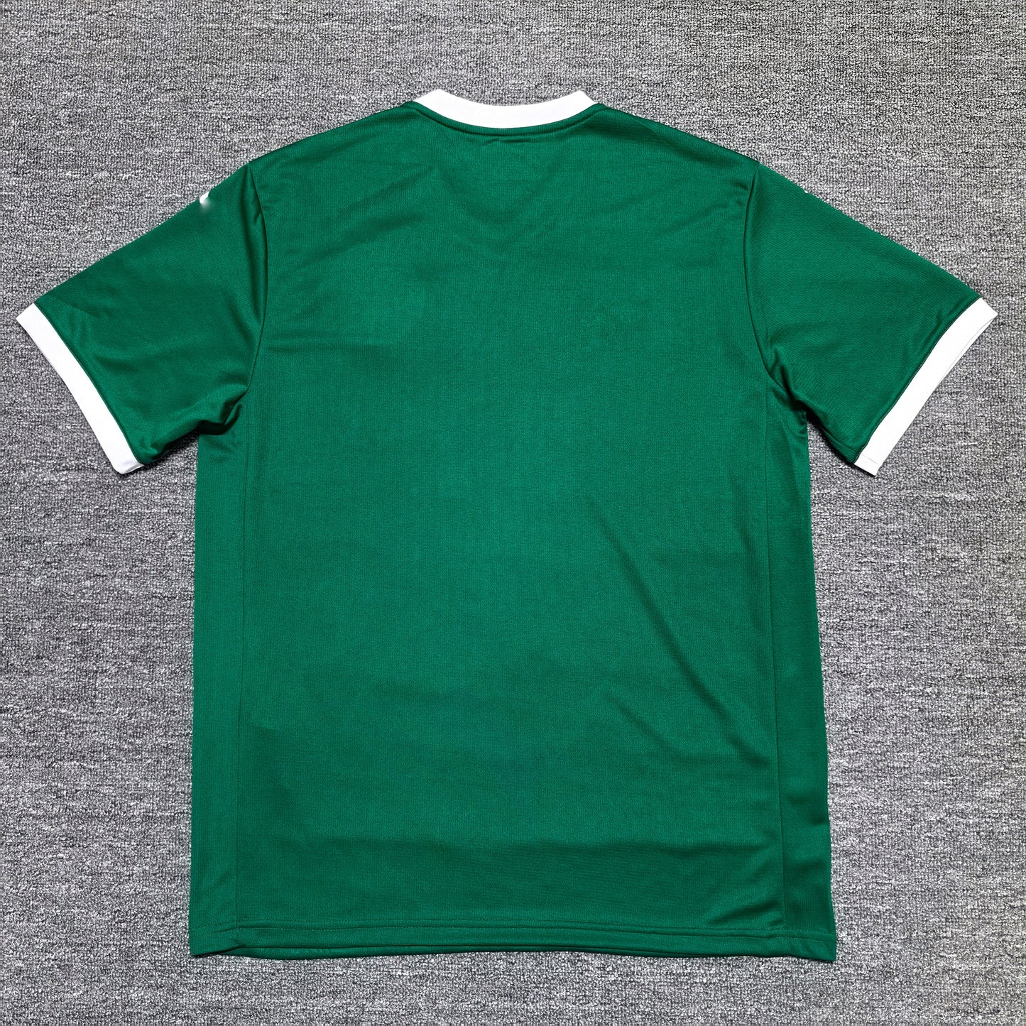 Maillot Palmeiras 2025-2026