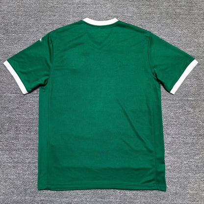 Maillot Palmeiras 2025-2026