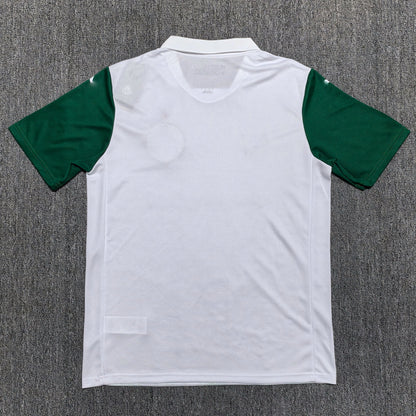 Maillot Palmeiras 2025-2026