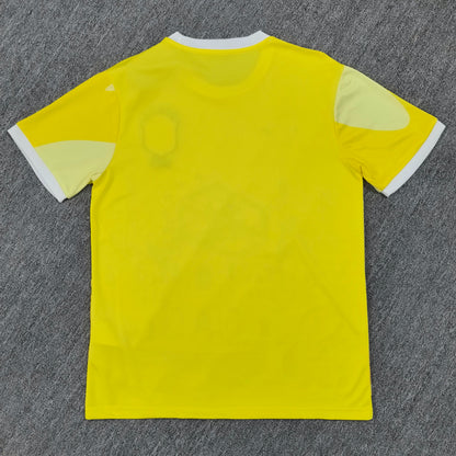 Maillot Brésil Concept 2024-2025