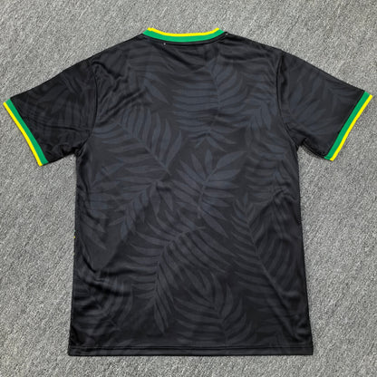 Maillot Brésil Concept 2024-2025