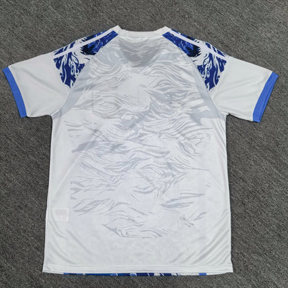 Maillot Japon Concept 2025-2026