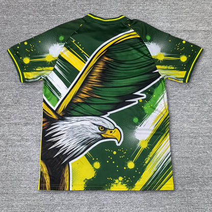 Maillot Brésil Concept 2024-2025