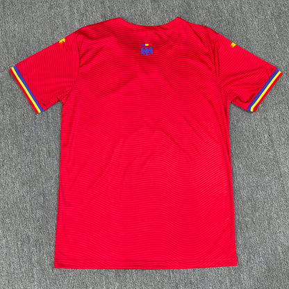 Maillot Roumanie 2025-2026