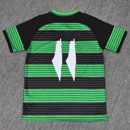 Maillot Palestine 2024-2025