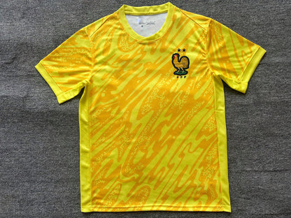 Maillot France 2024-2025