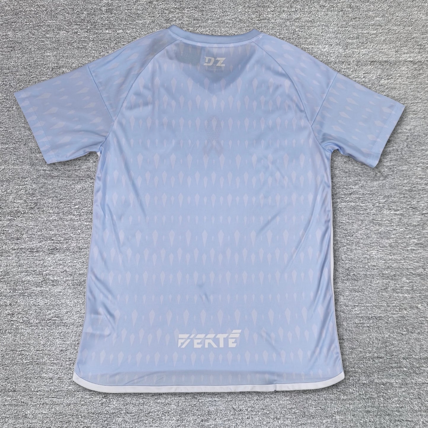 Maillot Algérie Concept Palestine 2025-2026