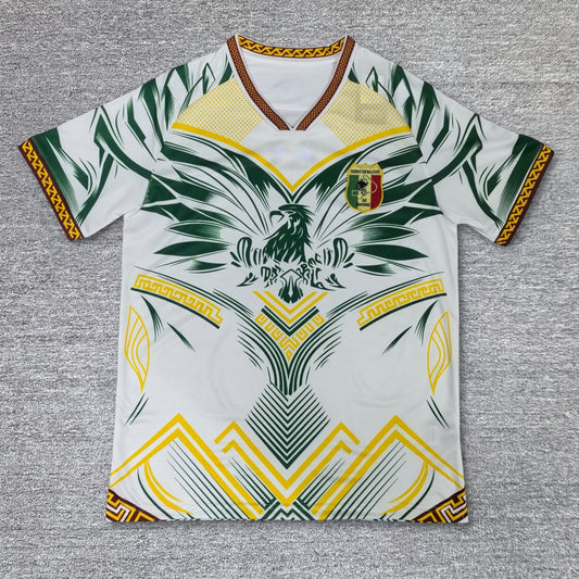 Maillot Mali Concept 2025-2026