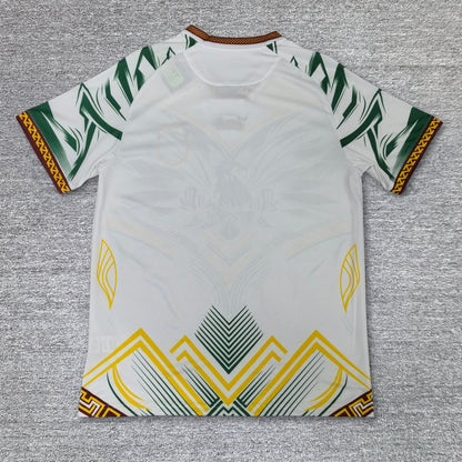Maillot Mali Concept 2025-2026